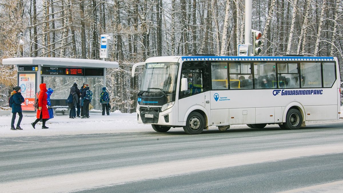 Башавтотранс» повысит стоимость проезда в городских автобусах — РБК