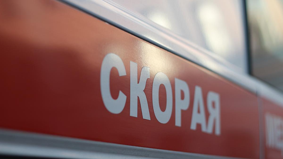 Фото: Никита Попов / РБК