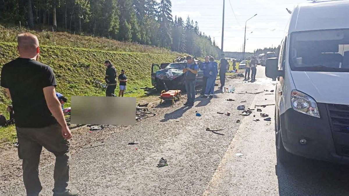 В спорткомитете заявили о соблюдении ПДД на тренировке велогонщиц :: Другие  :: РБК Спорт