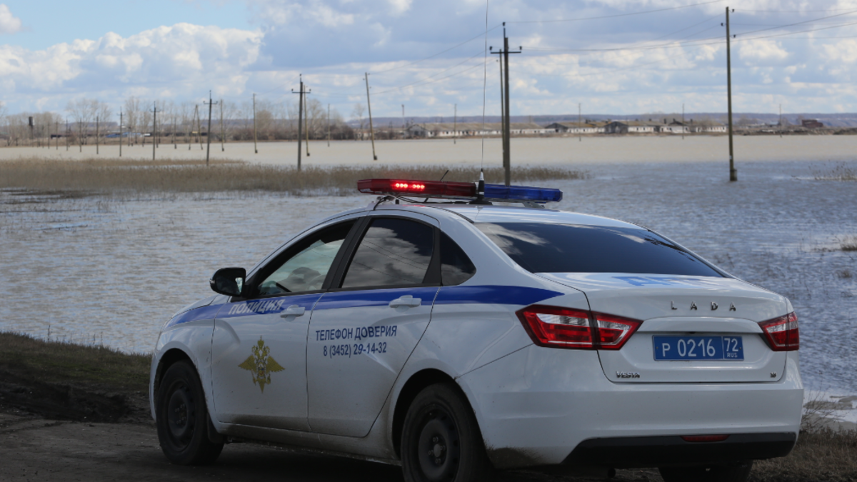 Паводок в Тюменской области: ситуация на 28 апреля, уровень воды в Ишиме.  Фото, видео — РБК