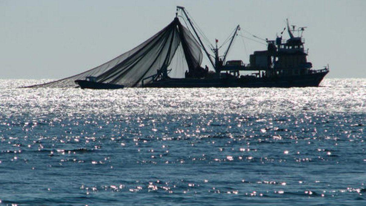 Фото: fishingcompany.vg