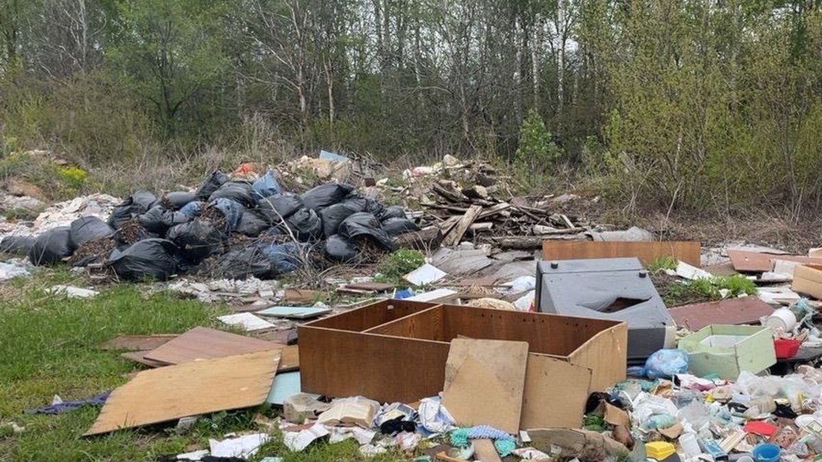 Фото: Управление Росприроднадзора по Нижегородской области и республике Мордовия