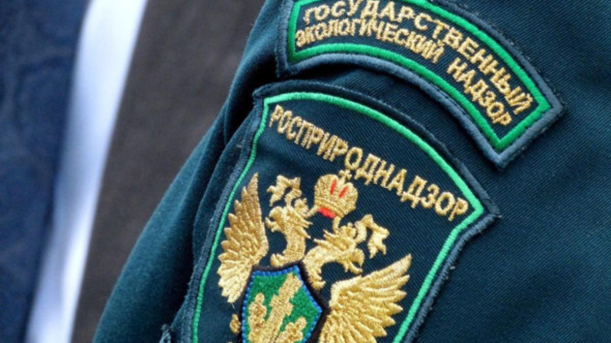 Фото: rpn.gov.ru