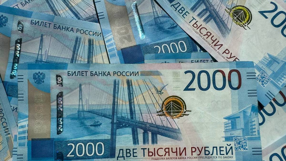 Фото: РБК Приморье