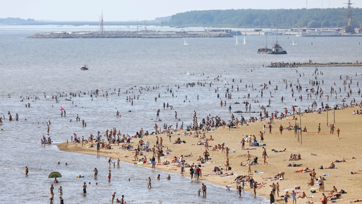 Водоёмы в Петербурге прогрелись сильнее, чем Чёрное море — РБК