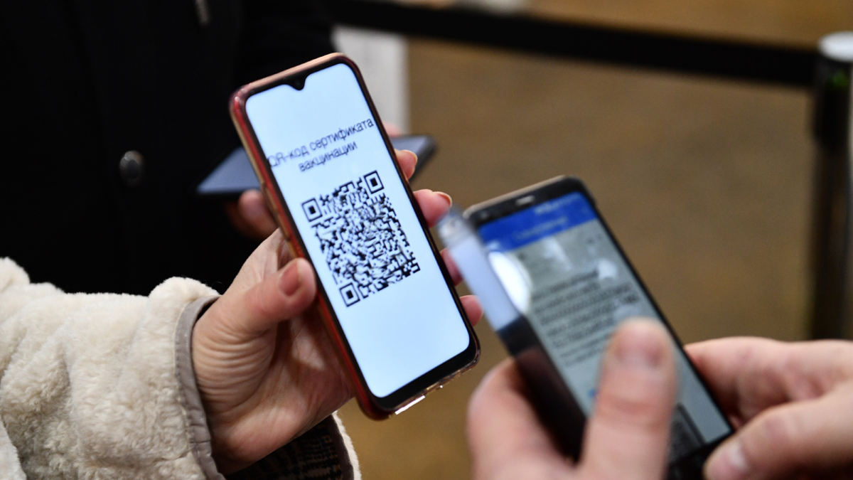 Пассажиры пожаловались Голиковой на введение QR-кодов в транспорте — РБК