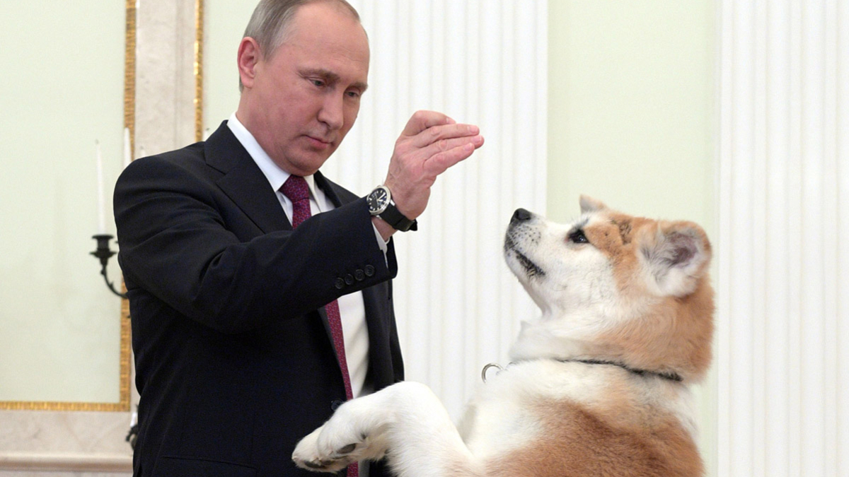 Владимир Путин с собакой по кличке Юмэ