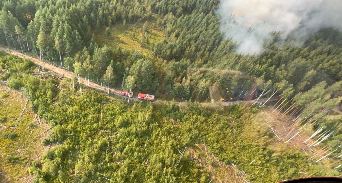 Фото: Телеграм-канал Глеба Никитина