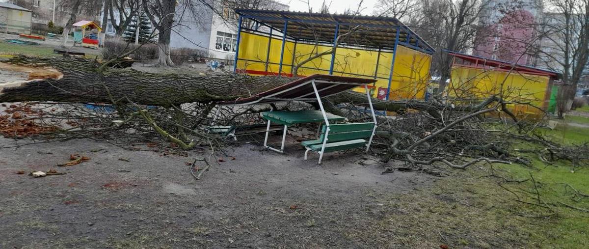 Фото: телеграм-канал Елены Дятловой