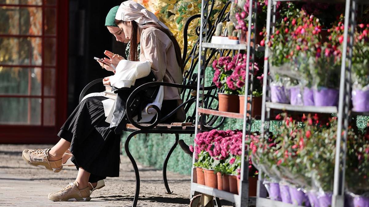 Букет мер: как производители цветов перестраивают свой бизнес — РБК