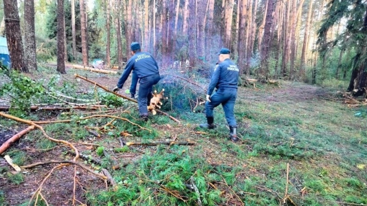 Фото: 12.mchs.gov.ru