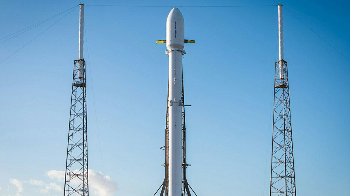 Фото: SpaceX / twitter.com / Global Look Press