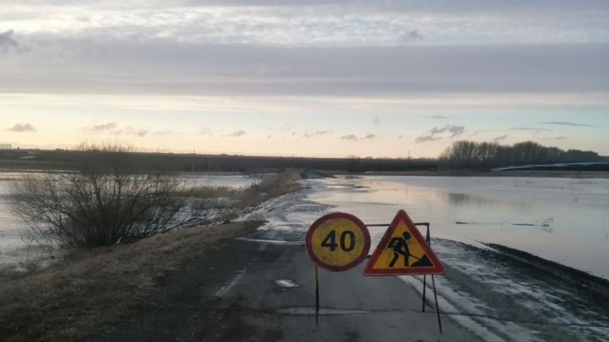 Фото: ТУАД Новосибирской области