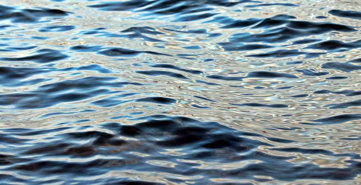 Фото: Pixabay