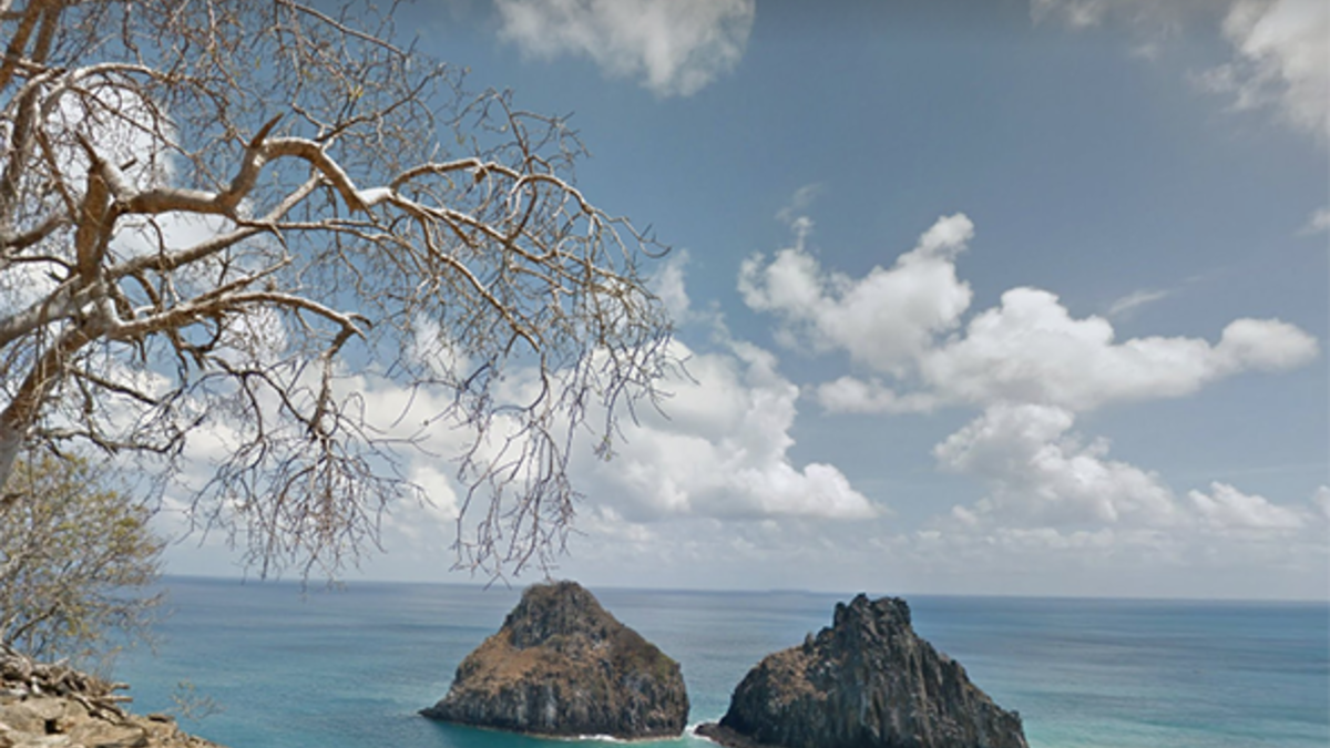 Фото: Google