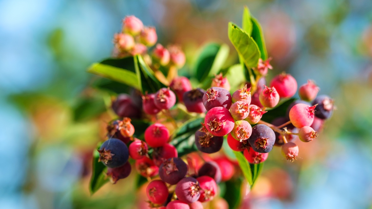 Фото: Shutterstock