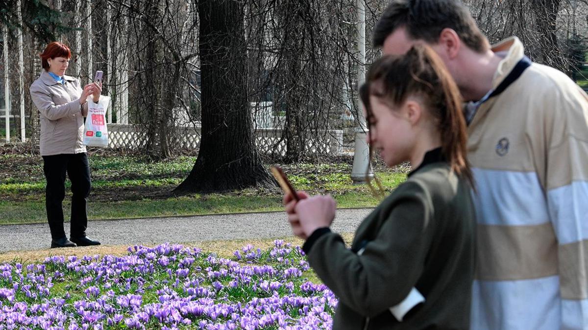 Фото: Алексей Никольский / РИА Новости