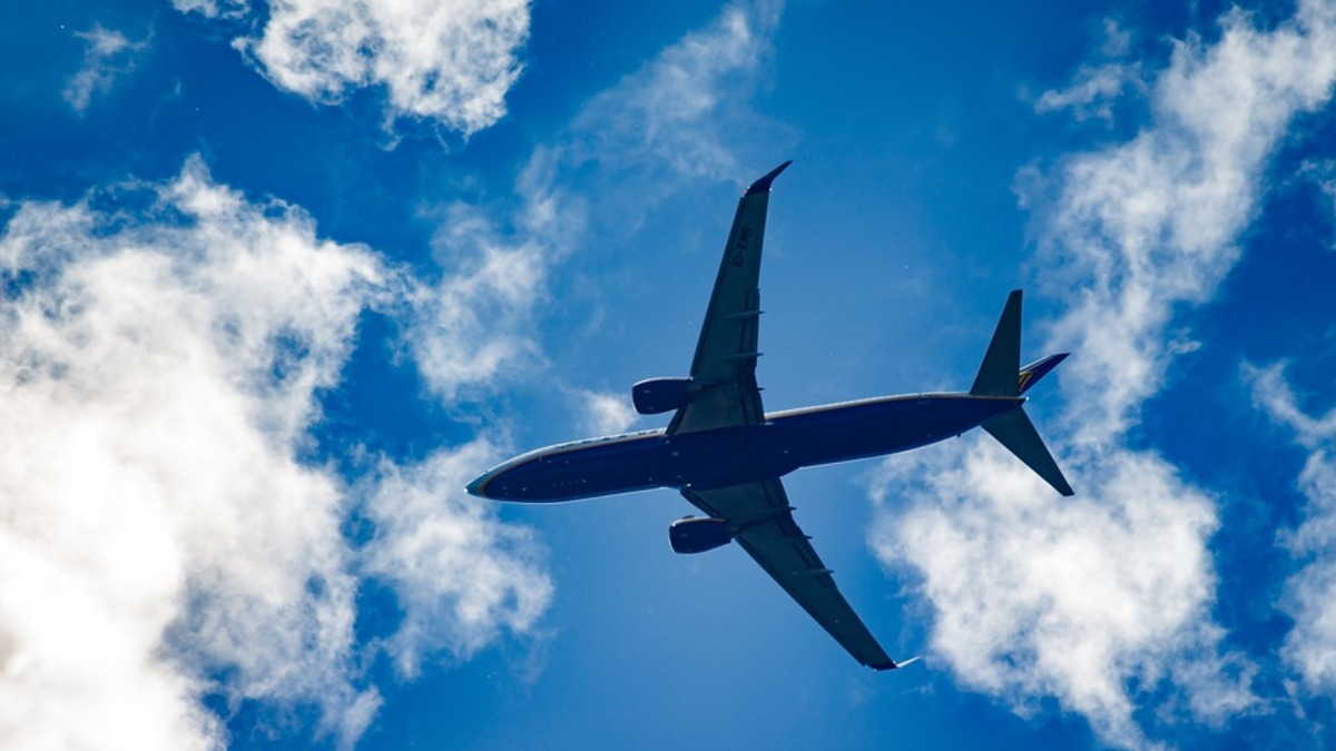 Фото: pixabay.com