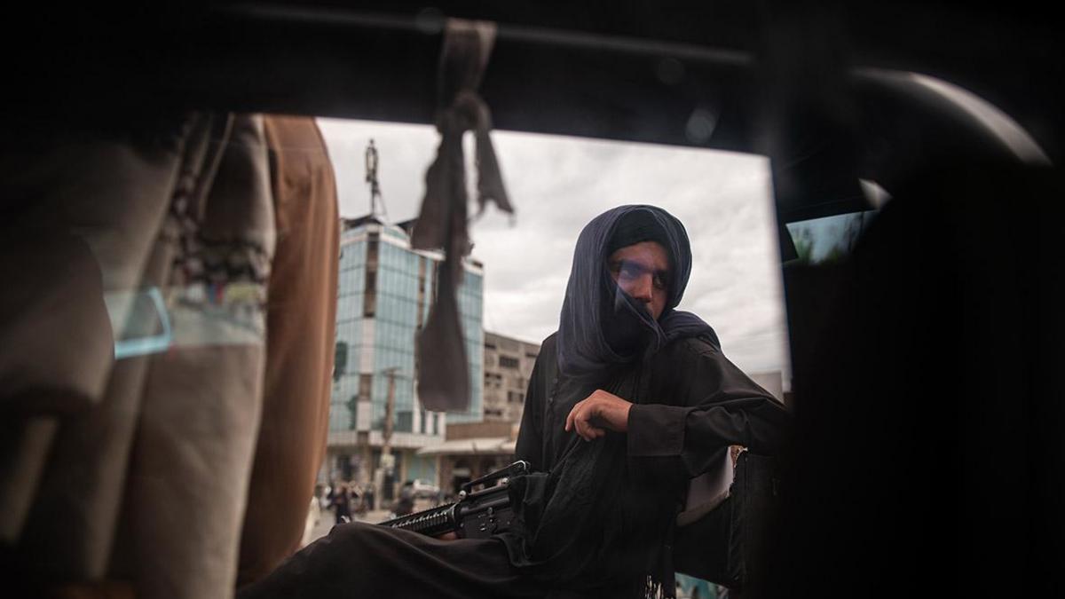 Фото: Nava Jamshidi / Getty Images