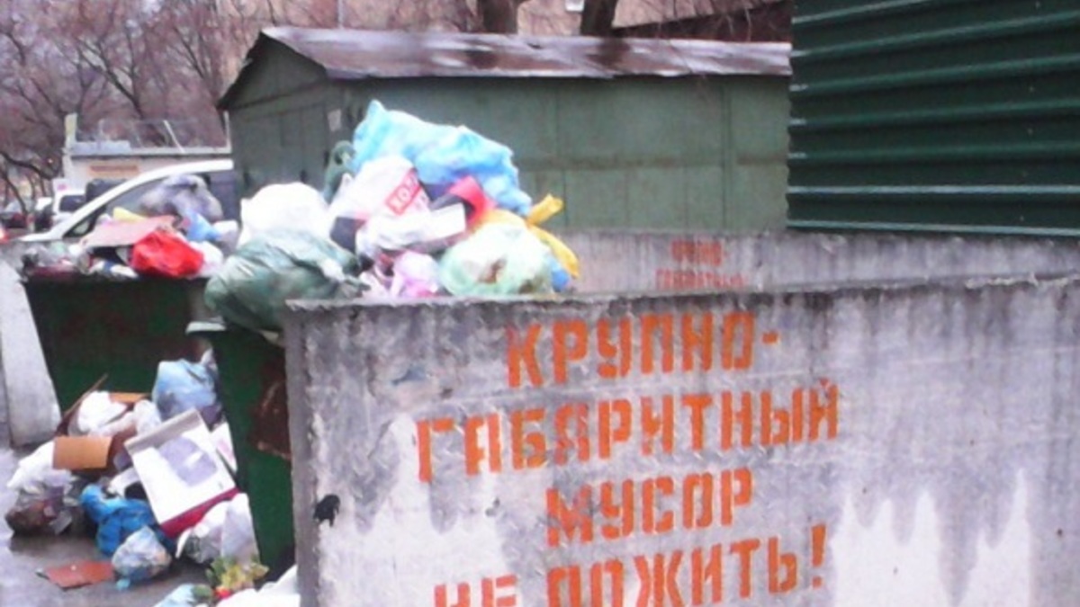 Фото: РБК Новосибирск