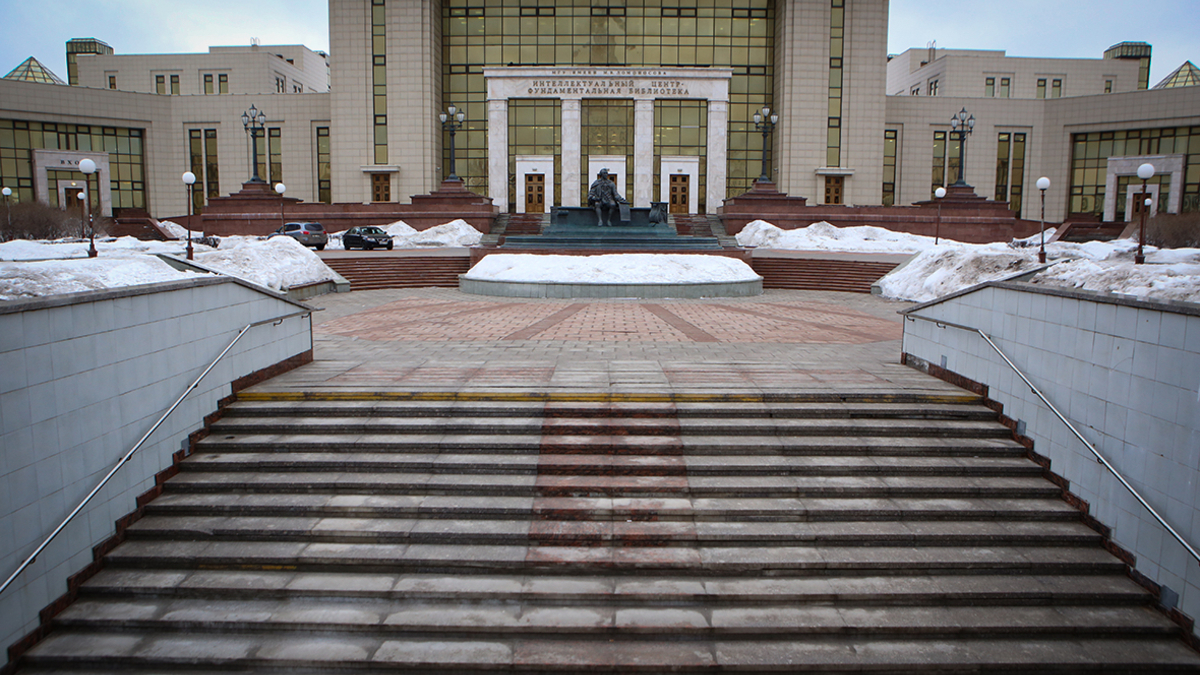Фото: Ярослав Чингаев / ТАСС