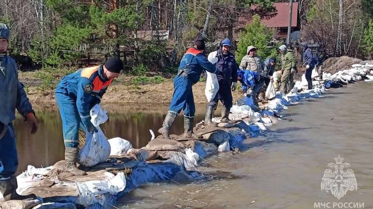 В Думе подтвердили прорыв дамбы в Омской области — РБК