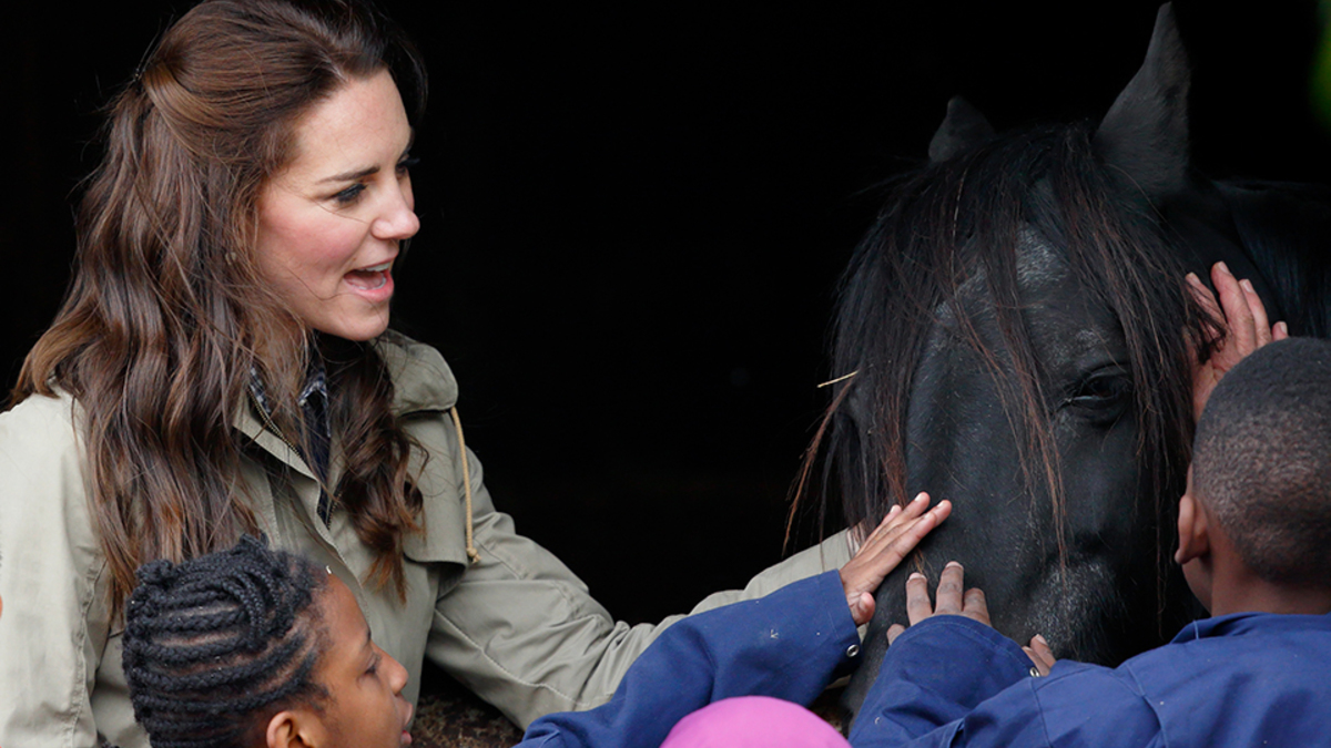 Фото: Max Mumby/Indigo/Getty Images