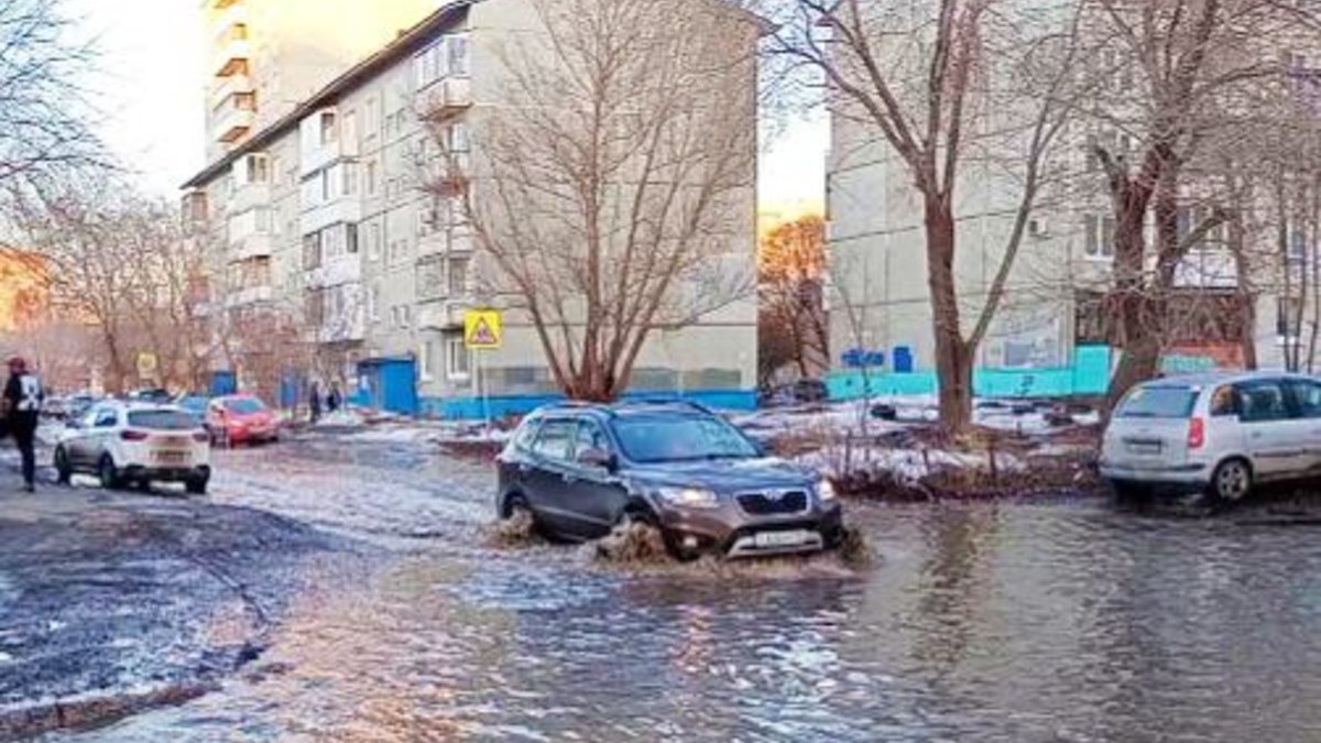 Фото: Алексей Коваленок / РБК Новосибирск