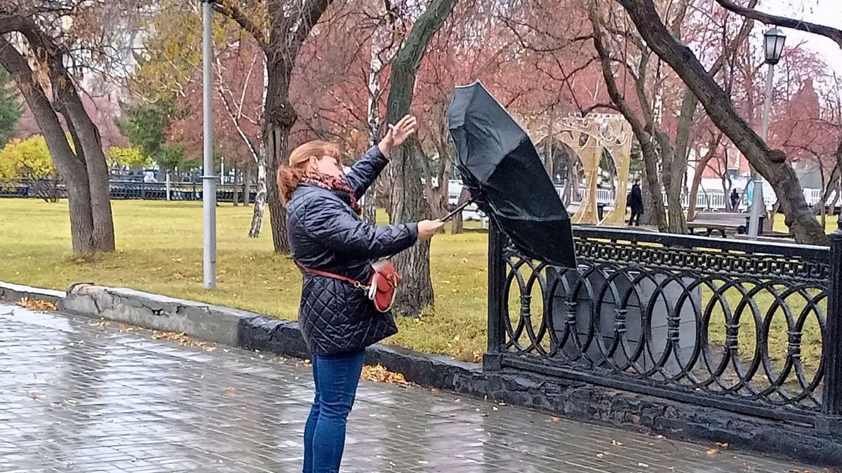 Фото: Алексей Коваленок / РБК Новосибирск