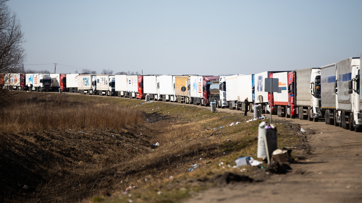 Фото: Александр Подгорчук