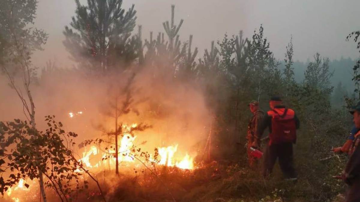 Фото: Пресс-служба правительства Нижегородской области