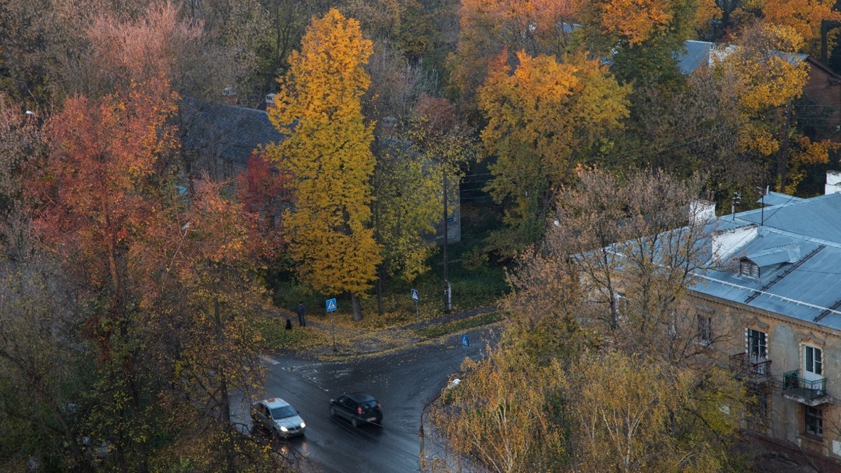 Фото: Анастасия Макарычева/РБК