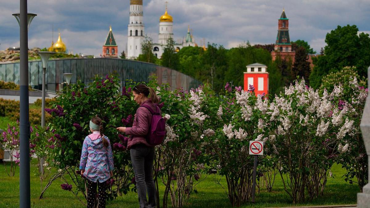 Власти предложили единое определение многодетной семьи — РБК