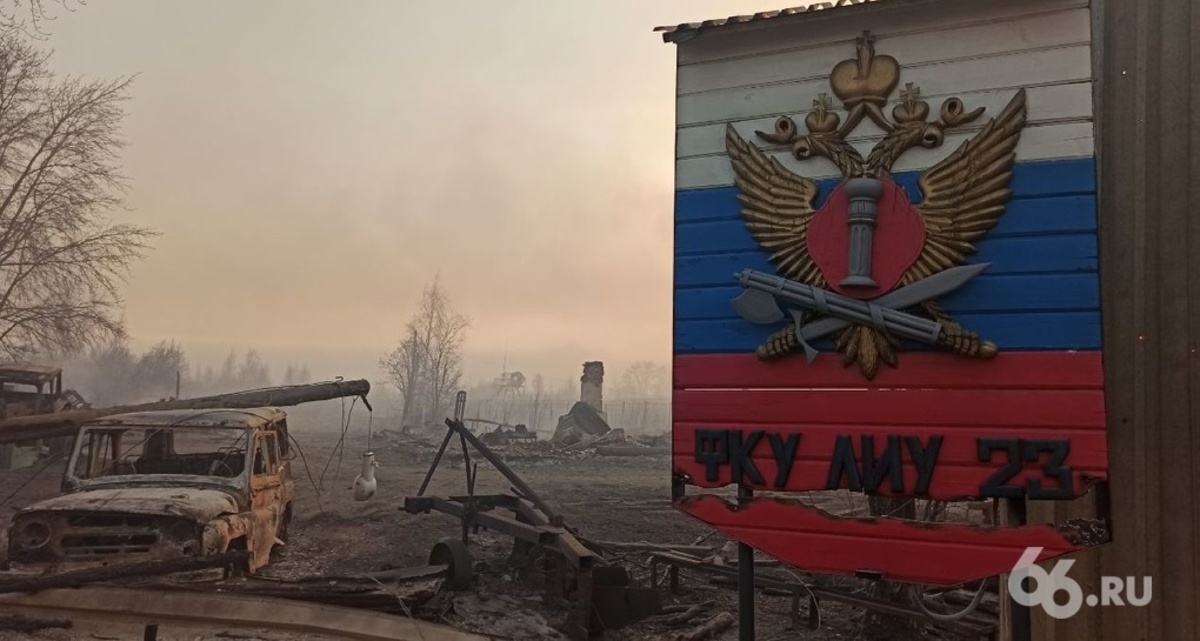 Фото: Дмитрий Антоненков, 66.RU