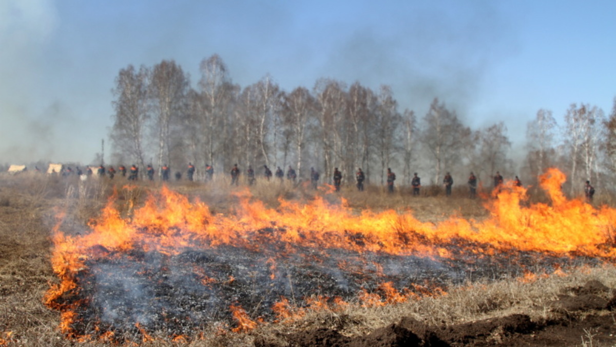 Фото: 54.mchs.gov.ru