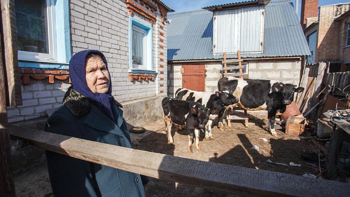 Перепись показала снижение числа личных хозяйств и огородов — РБК