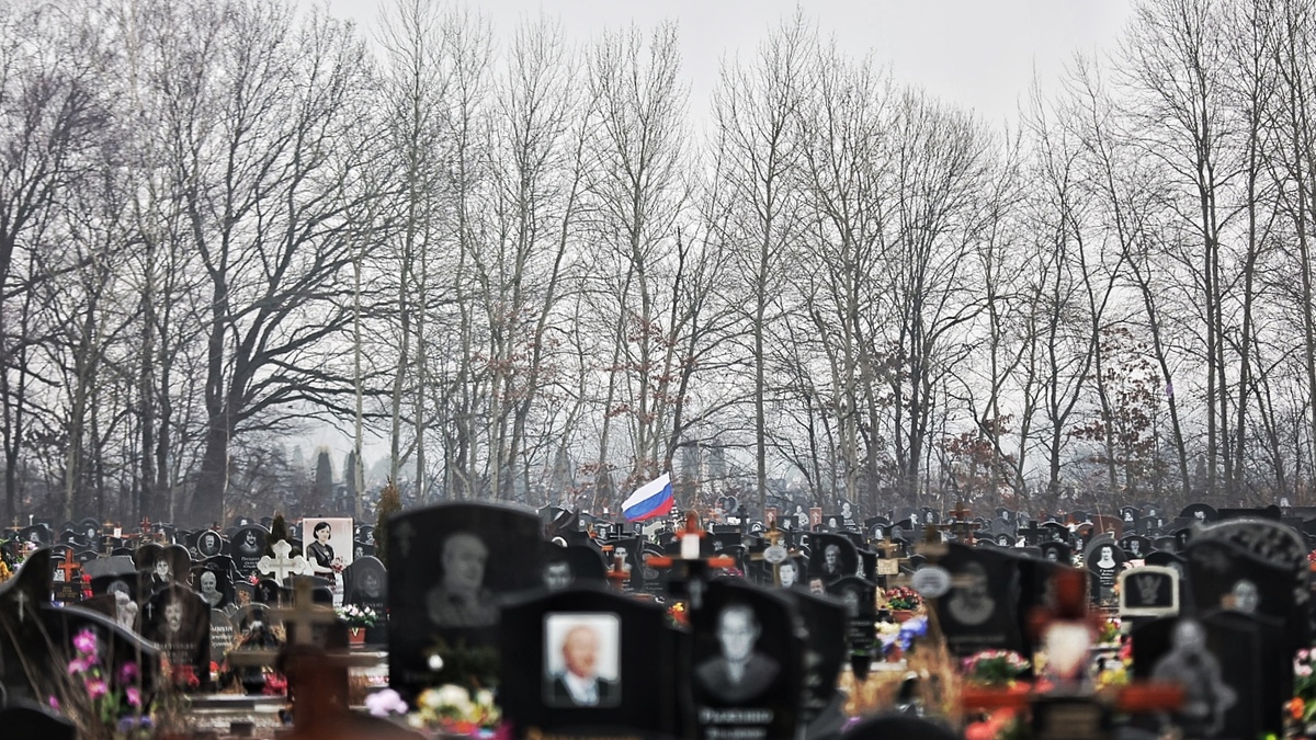 Фото: Александр Подгорчук