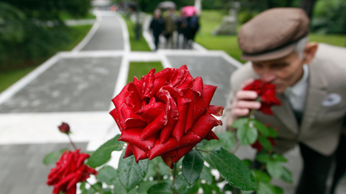 Фото: Marko Djurica / Reuters