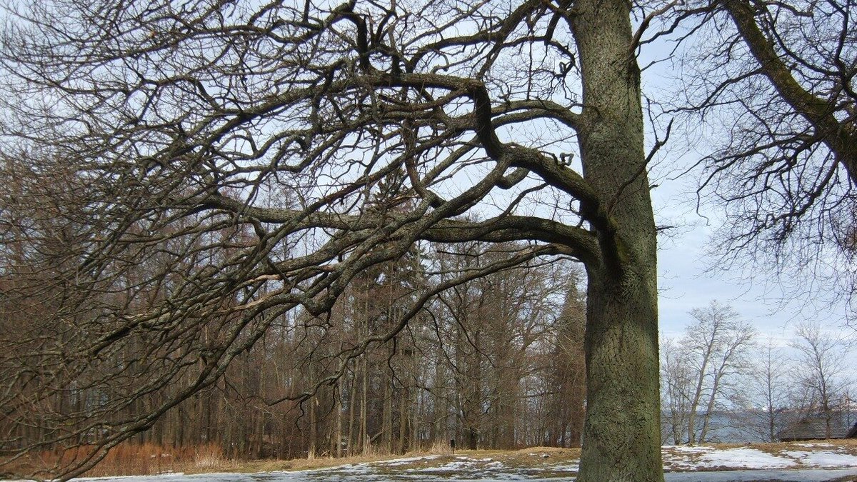 Фото: 66.RU