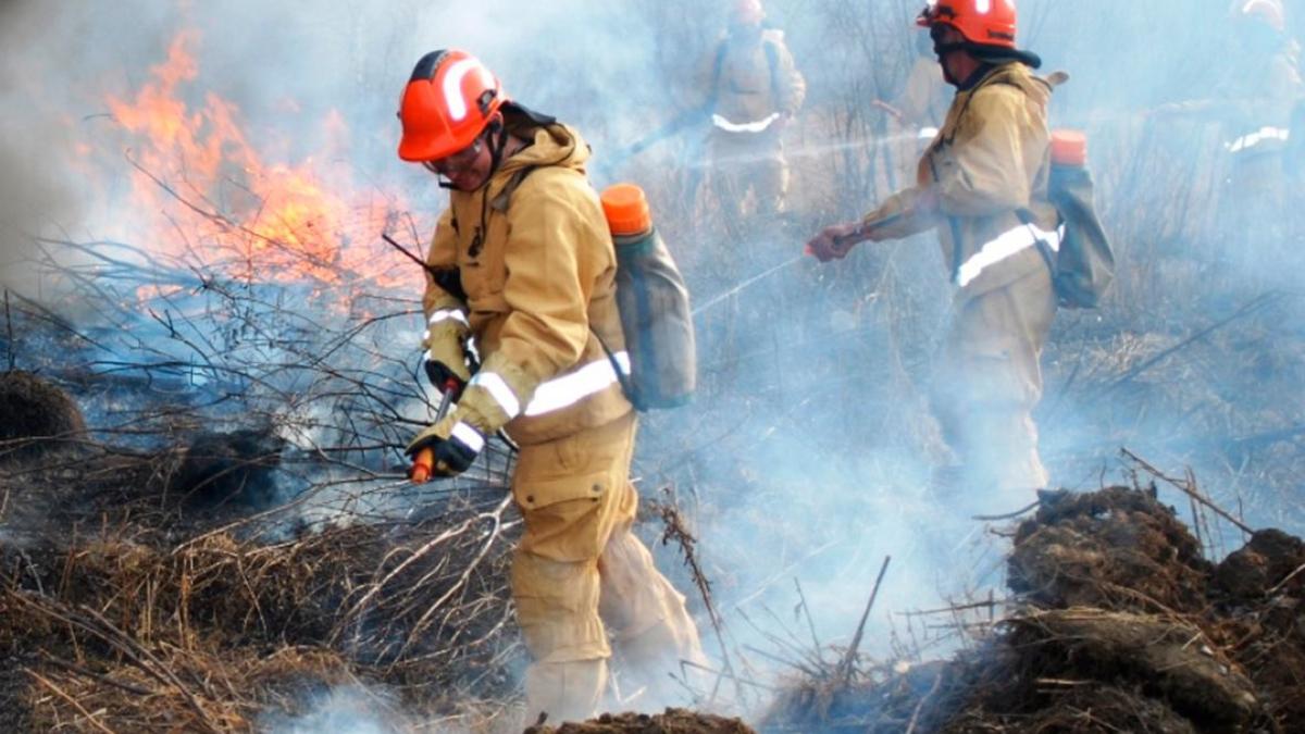 В Хабаровском крае ввели режим ЧС после более 300 пожаров в лесах — РБК