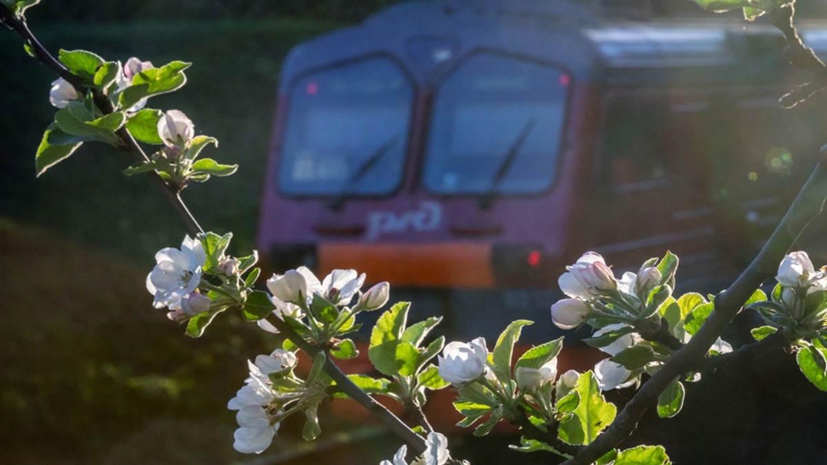 Фото: company.rzd.ru