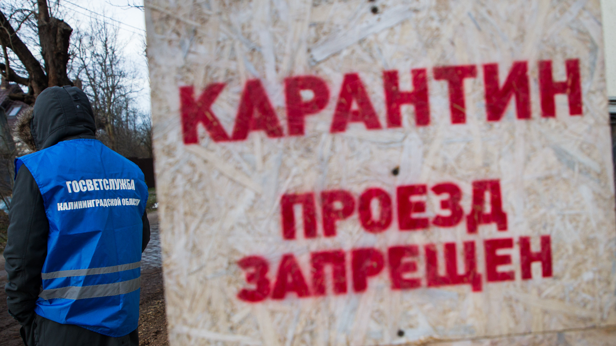 Фото: Александр Подгорчук