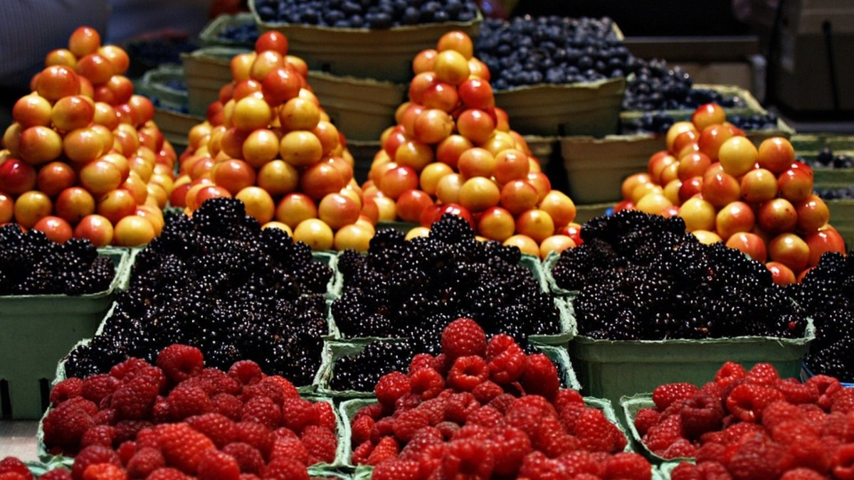 Фото: pixabay.com