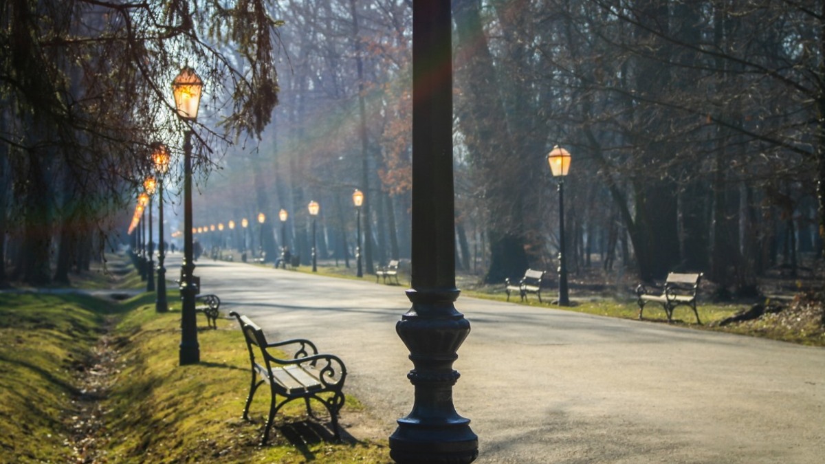 Фото: pixabay.com