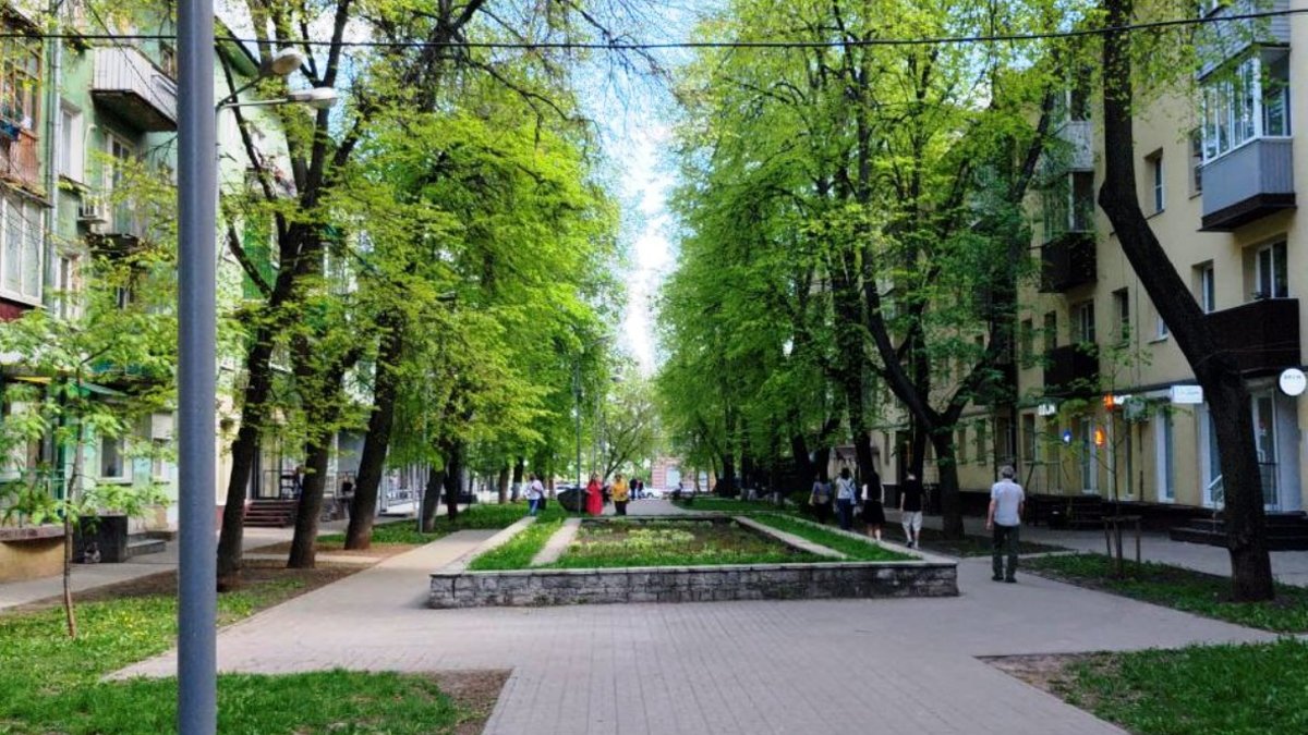 Фото: РБК Черноземье