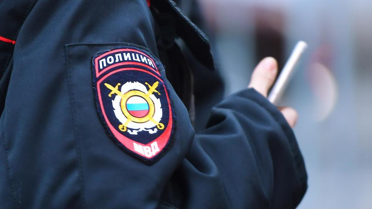 Фото: Евгений Одиноков / РИА Новости