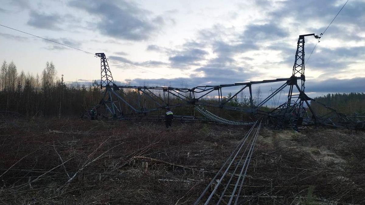 В Ленинградской области подорвали опору ЛЭП — РБК