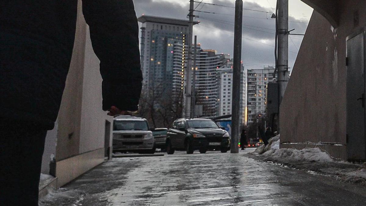 Фото: Евгений Одиноков / РИА Новости