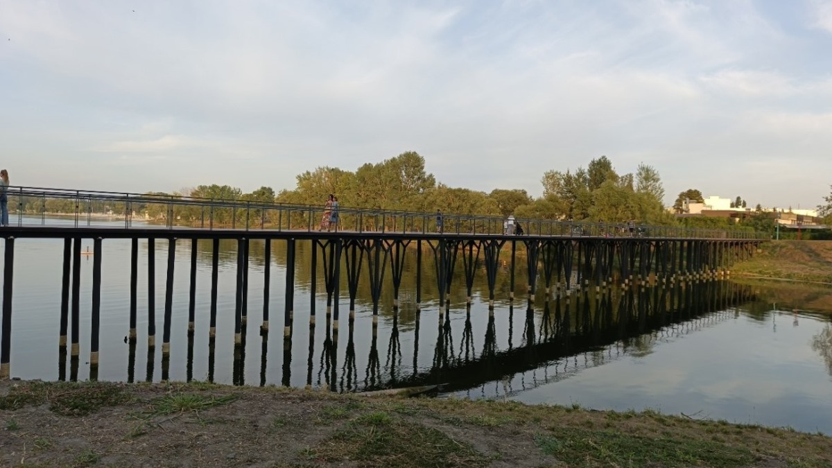 Фото: РБК Черноземье