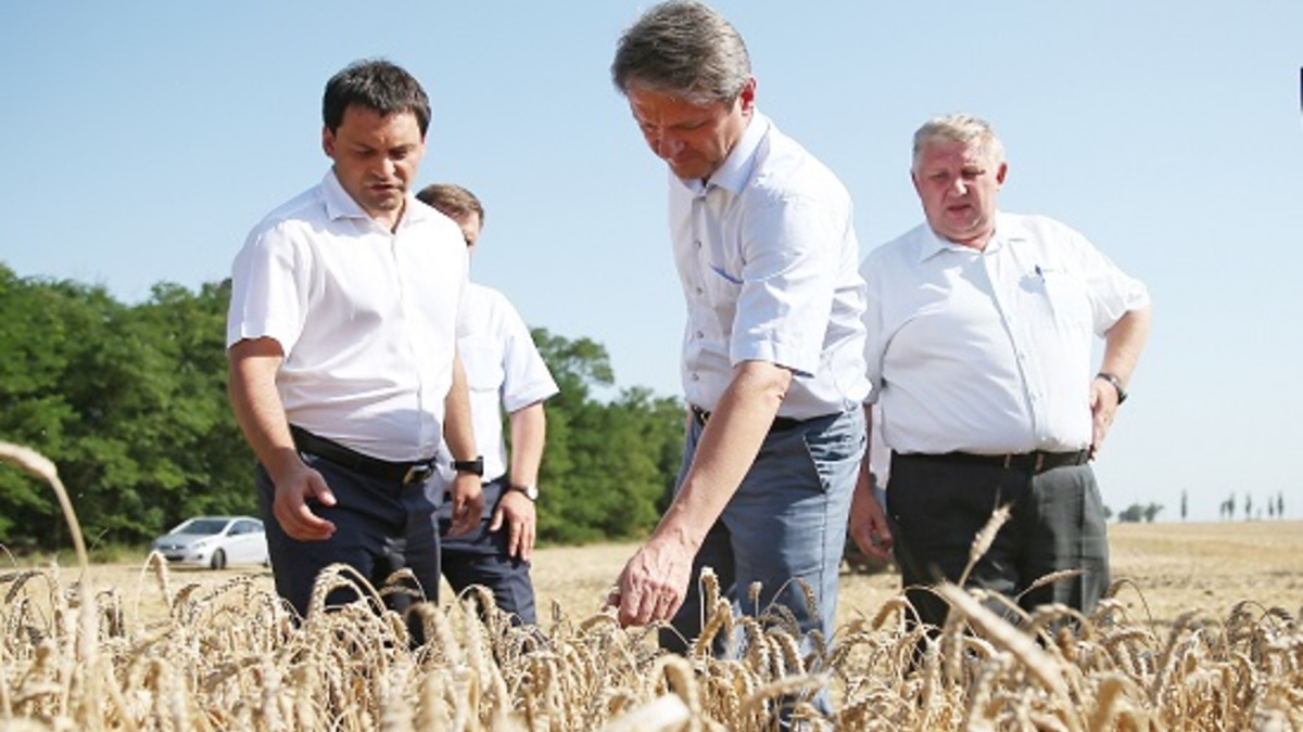 Фото: agrobook.ru